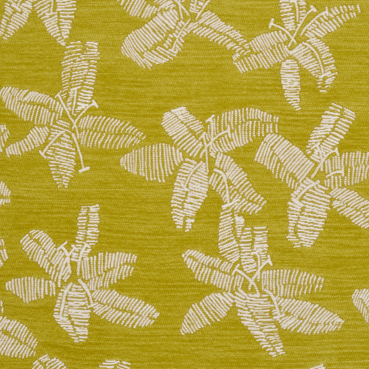 Purchase 83814 | Hibiscus, Citron Vert - Schumacher Fabric
