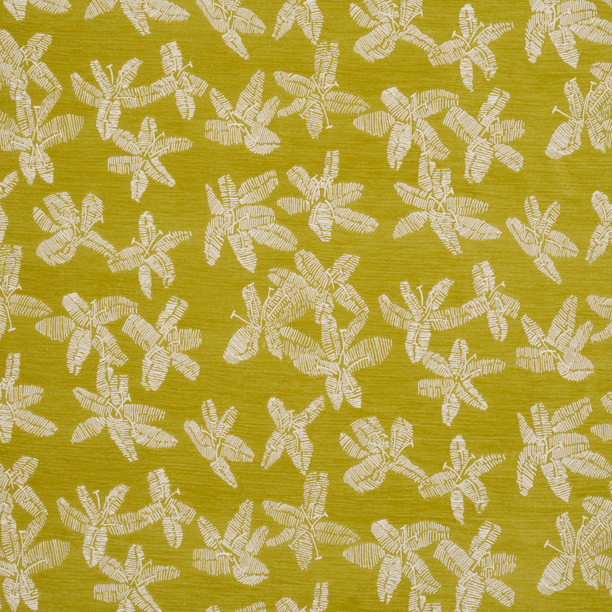 Purchase 83814 | Hibiscus, Citron Vert - Schumacher Fabric