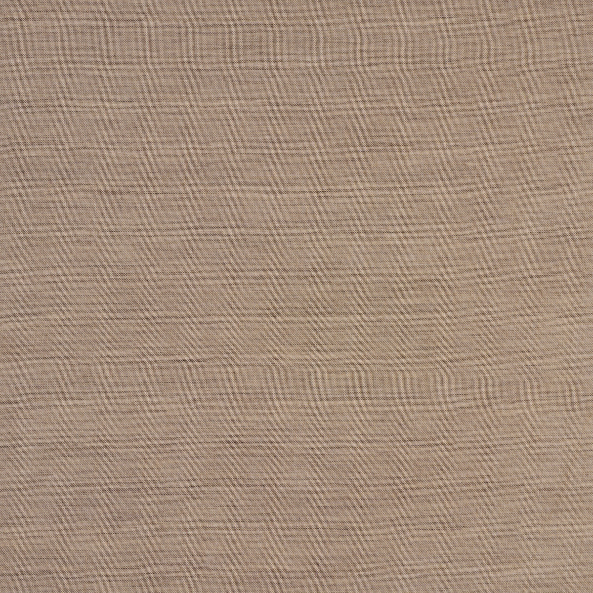 Purchase 85074 | Summit Sheer, Sandstone - Schumacher Fabric