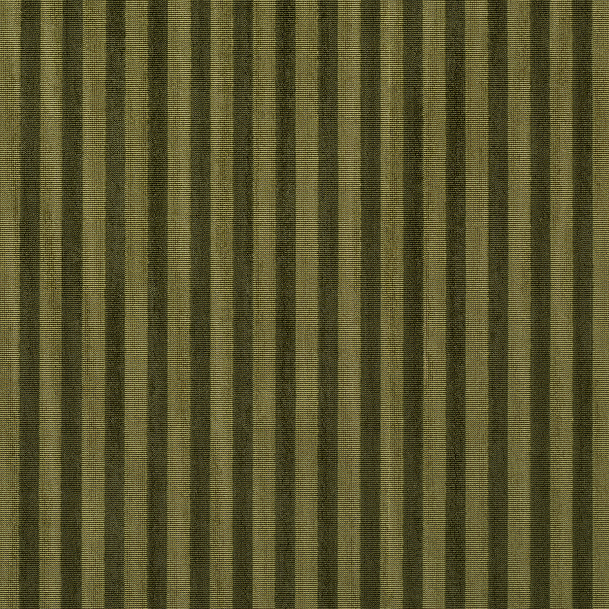Purchase 85512 | Pipe Illusion, Moss - Schumacher Fabric
