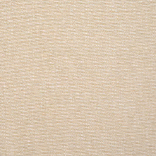 Purchase 85524 | Dean Indoor/Outdoor, Ecru - Schumacher Fabric