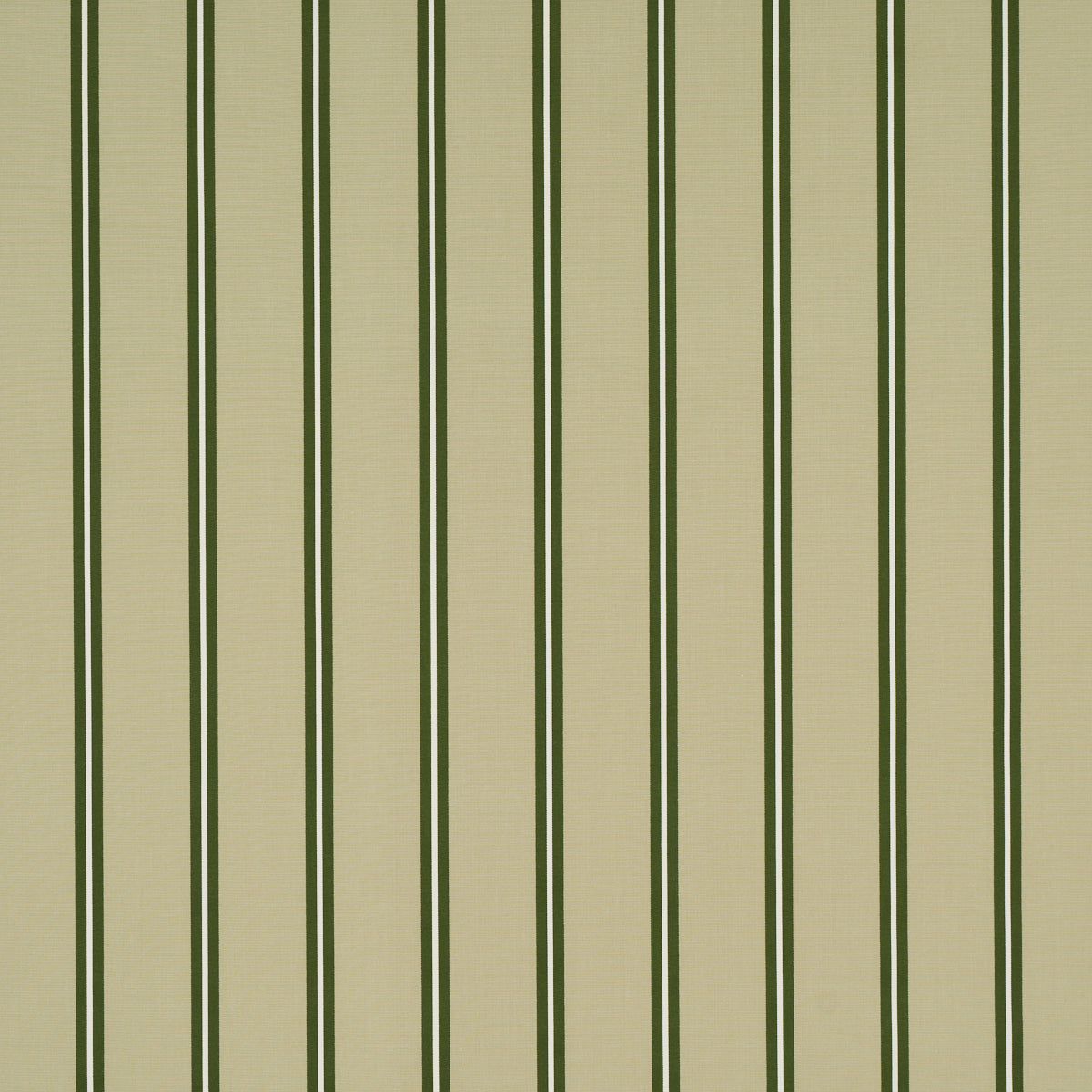 Purchase 85622 | Briony Stripe, Leaf - Schumacher Fabric