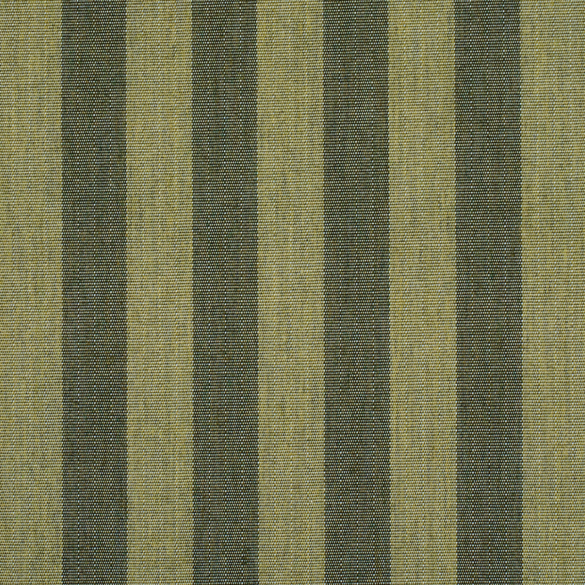 Purchase 85805 | Hanson Indoor/Outdoor Stripe, Green - Schumacher Fabric