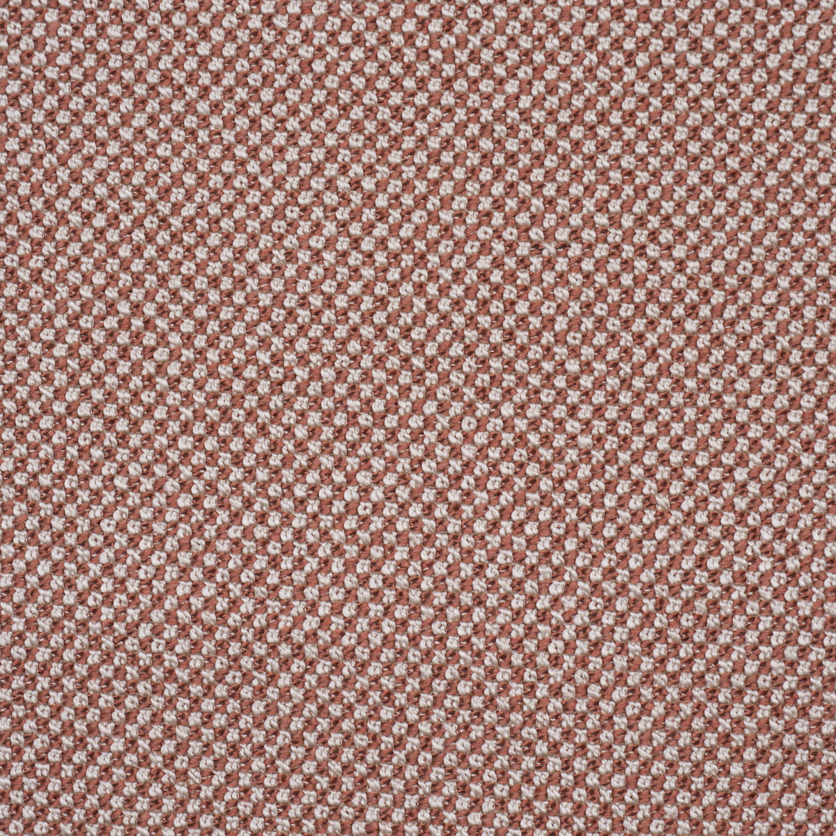 Purchase 86263 | Raye Performance, Terracota - Schumacher Fabric