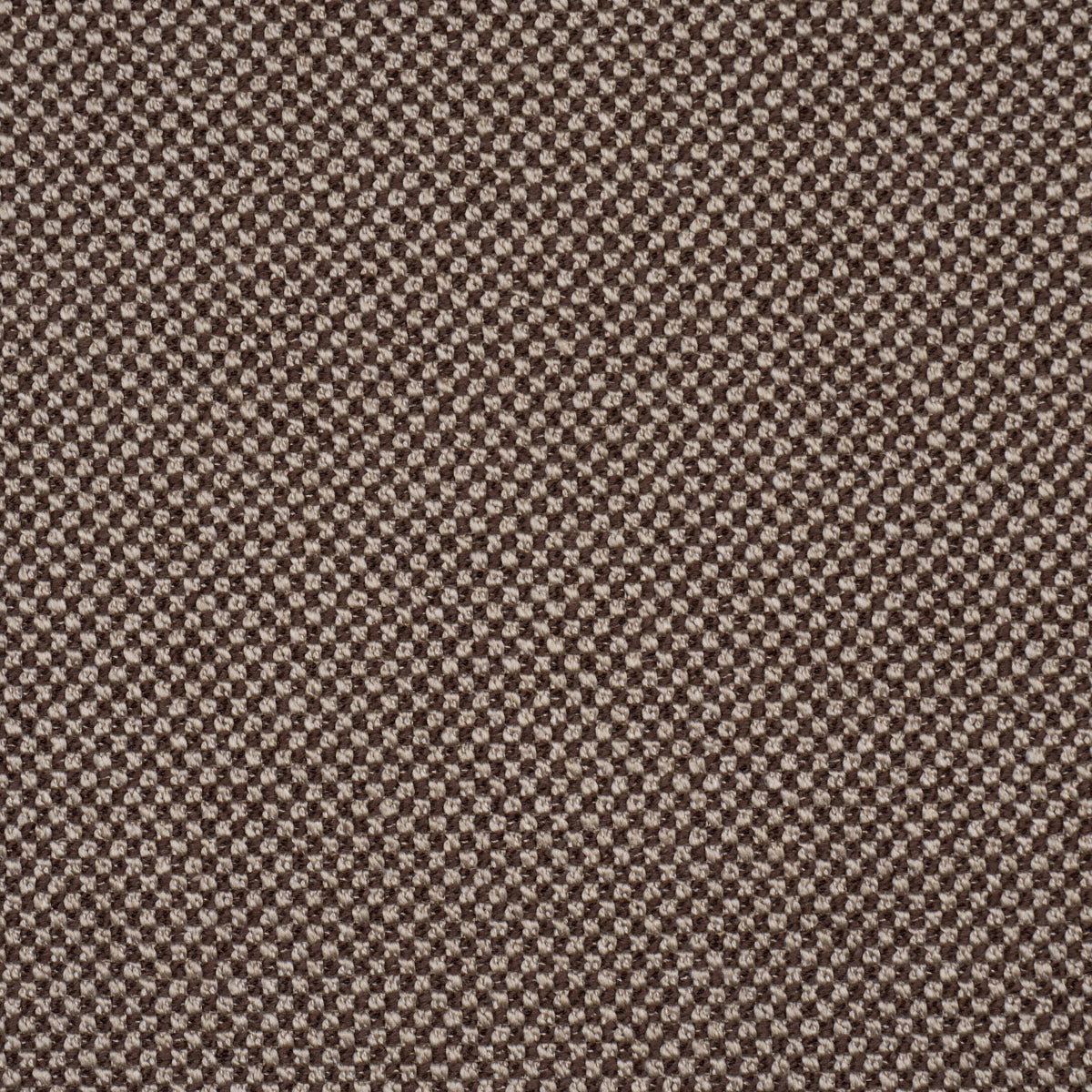 Purchase 86264 | Raye Performance, Brown - Schumacher Fabric