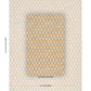 Purchase 86400 | Dayana Performance, Ochre - Schumacher Fabric