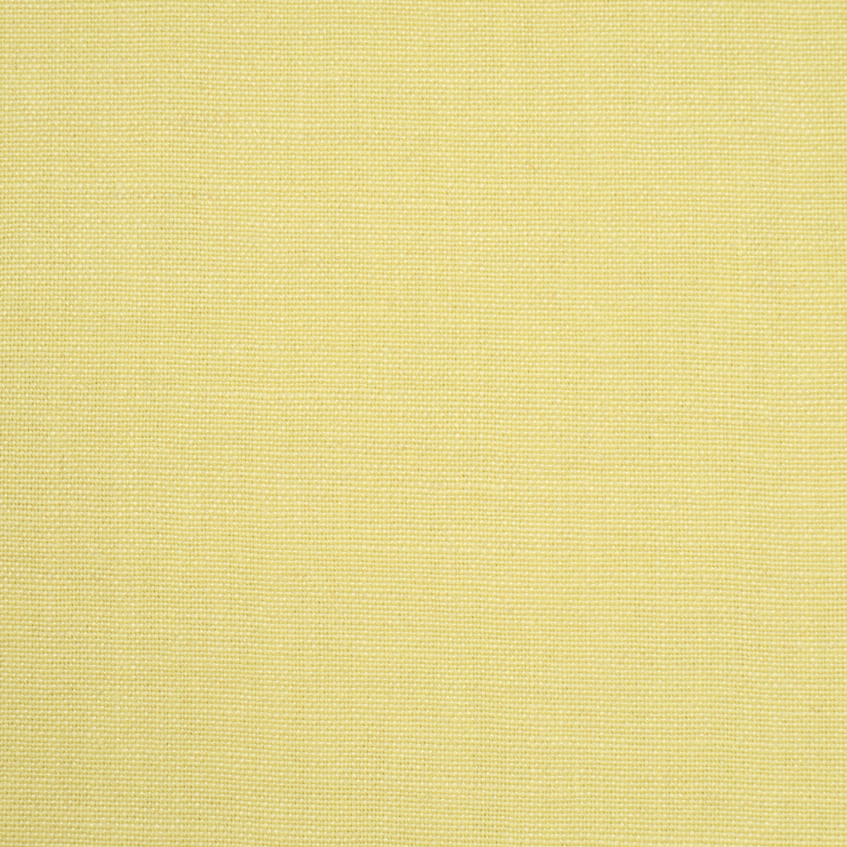 Purchase 86462 | Piet Performance Linen, Citron Vert - Schumacher Fabric