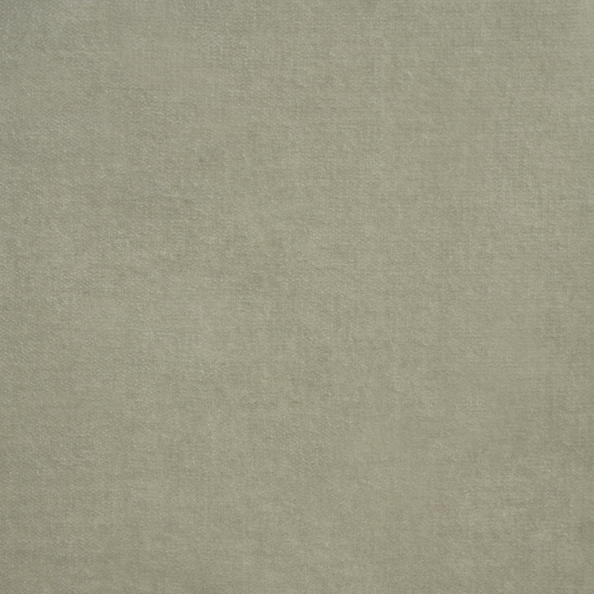 Purchase 86471 | Rocky Performance Velvet, Fern - Schumacher Fabric