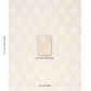 Purchase 86642 | Tyninghame Trellis, Ivory - Schumacher Fabric