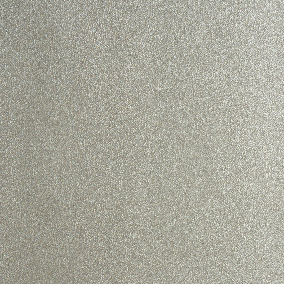 Purchase 86990 | Metallic Vegan Leather Outdoor, Lustrous Metal - Schumacher Fabric