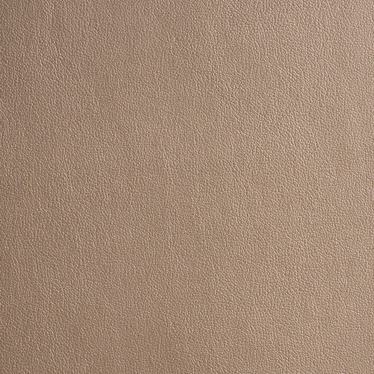 Purchase 86991 | Metallic Vegan Leather Outdoor, Dune - Schumacher Fabric