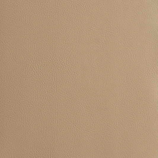 Purchase 87051 | Vegan Leather Indoor/Outdoor, Buff - Schumacher Fabric