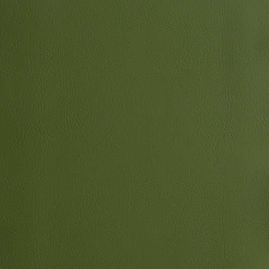 Purchase 87056 | Vegan Leather Indoor/Outdoor, Grass - Schumacher Fabric