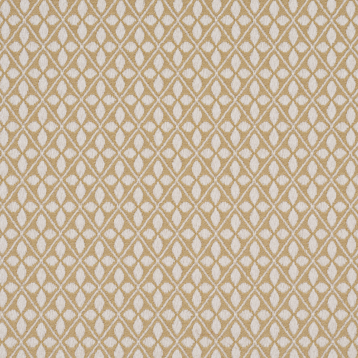 Purchase 87081 | Adams Damask, Neutral - Schumacher Fabric