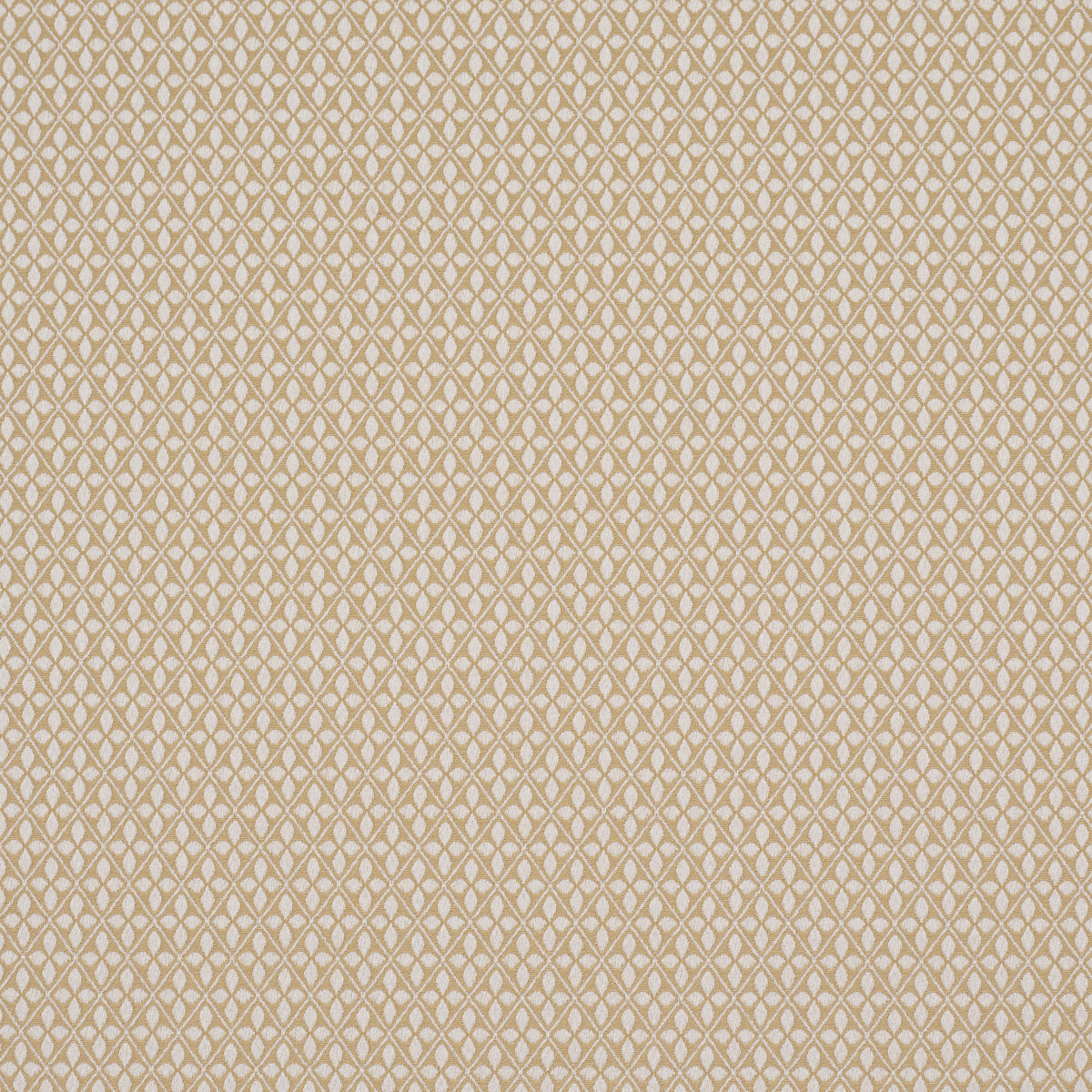 Purchase 87081 | Adams Damask, Neutral - Schumacher Fabric