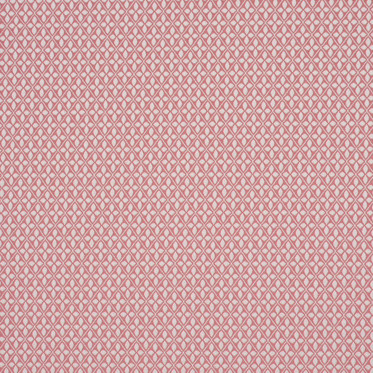 Purchase 87085 | Adams Damask, Pink - Schumacher Fabric