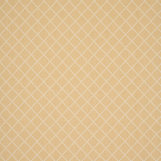 Purchase 87171 | Liam, Yellow - Schumacher Fabric