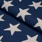 Purchase 87600 | Starfield Appliqué, Navy - Schumacher Fabric