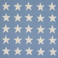 Purchase 87601 | Starfield Appliqué, Sky - Schumacher Fabric