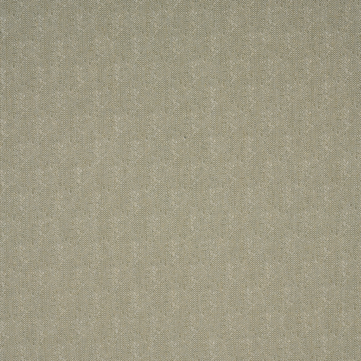 Purchase 87631 | Leona Performance, Green - Schumacher Fabric