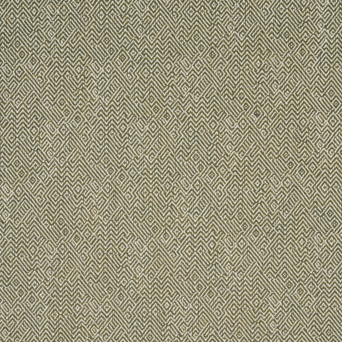 Purchase 87631 | Leona Performance, Green - Schumacher Fabric