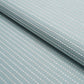Purchase 87680 | Austen Performance Stripe, Sky - Schumacher Fabric