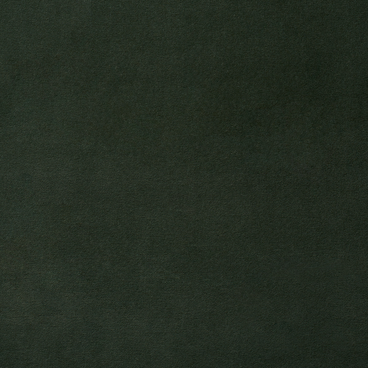 Purchase 87714 | Rocky Performance Velvet, Hunter - Schumacher Fabric