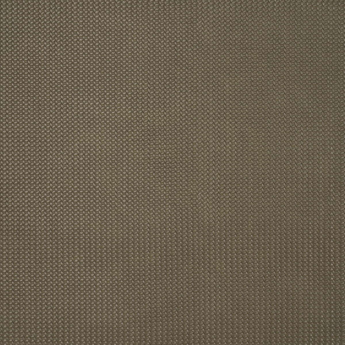 Purchase 87802 | Vegan Leather Rattan Indoor/Outdoor, Ash - Schumacher Fabric