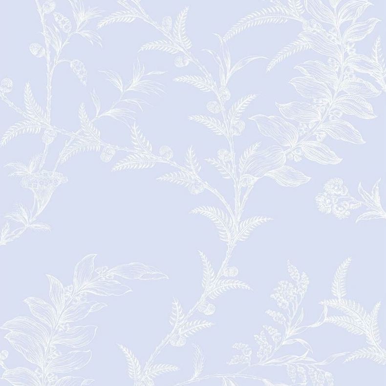 Sample 88/1002 Cole and Son