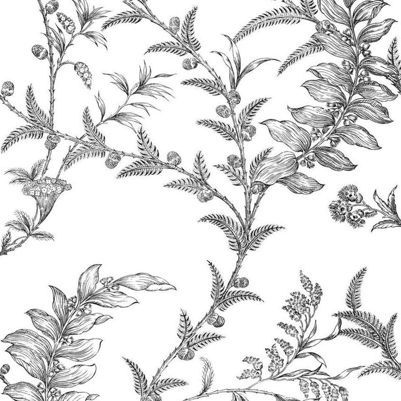 Sample 88/1005 Cole and Son