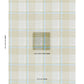 Purchase 88060 | Resonance Plaid Indoor/Outdoor, Verdant Sky - Schumacher Fabric