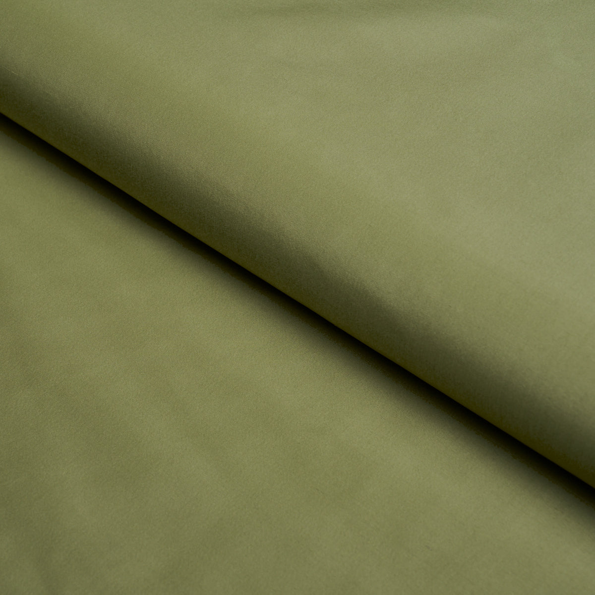 Purchase 88120 | Sargent Silk Taffeta, Sage - Schumacher Fabric