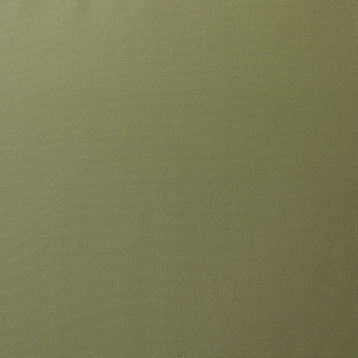 Purchase 88120 | Sargent Silk Taffeta, Sage - Schumacher Fabric