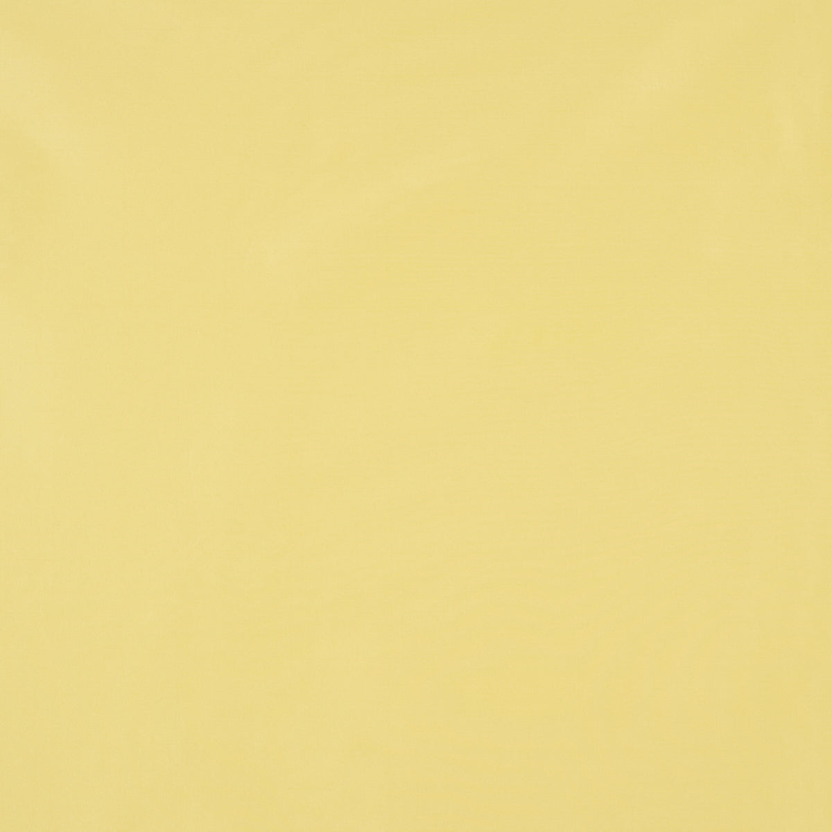 Purchase 88122 | Sargent Silk Taffeta, Canary - Schumacher Fabric