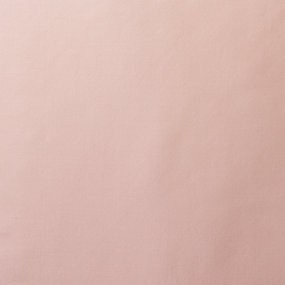 Purchase 88123 | Sargent Silk Taffeta, Petal - Schumacher Fabric