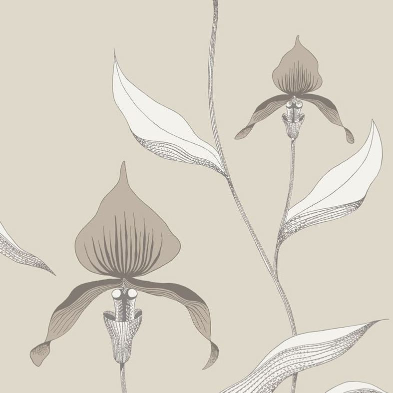 Sample 95/10058 Orchid Cole and Son Wallpaper
