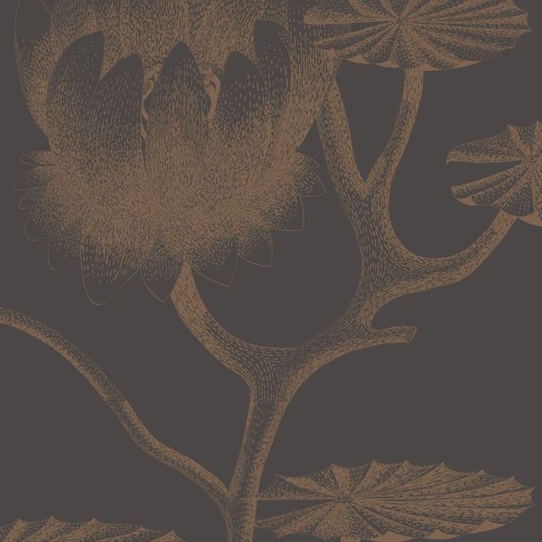 Sample 95/4021 Cole and Son