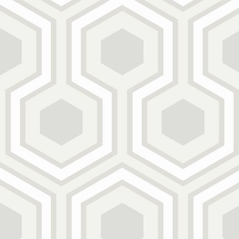 Sample 95/6036 Cole and Son