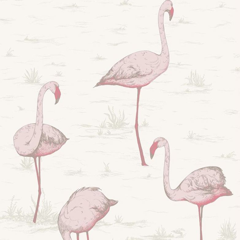 Sample 95/8045 Flamingos Cole and Son Wallpaper