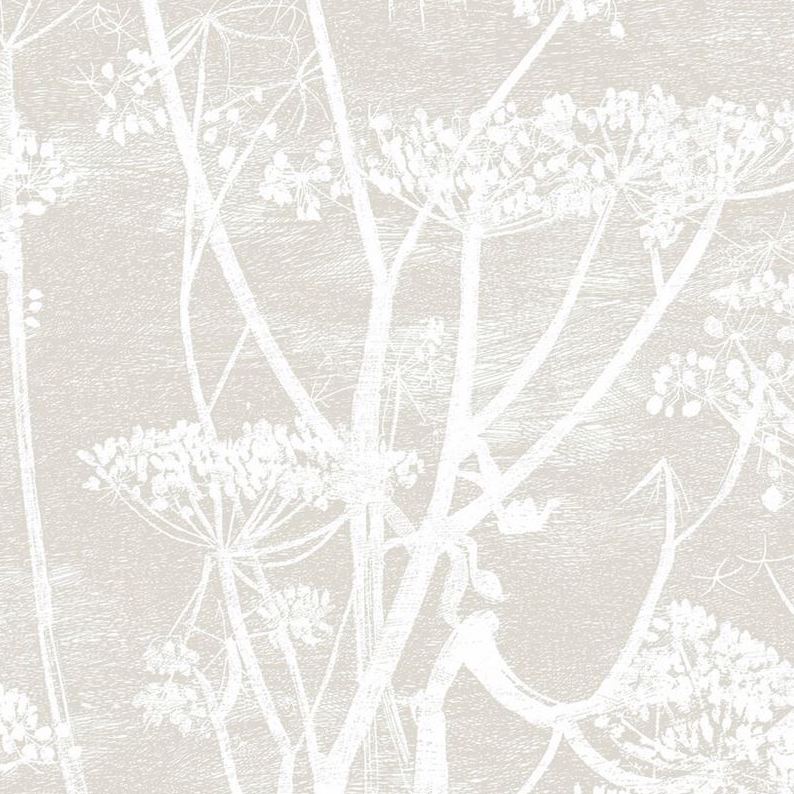 Sample 95/9051 Cow Parsley Cole and Son Wallpaper