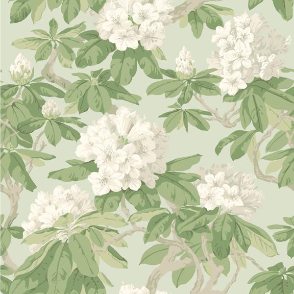 Buy 99/4022 Cs Bourlie Duck Egg By Cole and Son Wallpaper