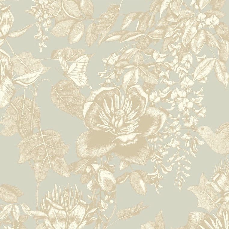 Sample 99/7031 Tivoli Cole and Son Wallpaper