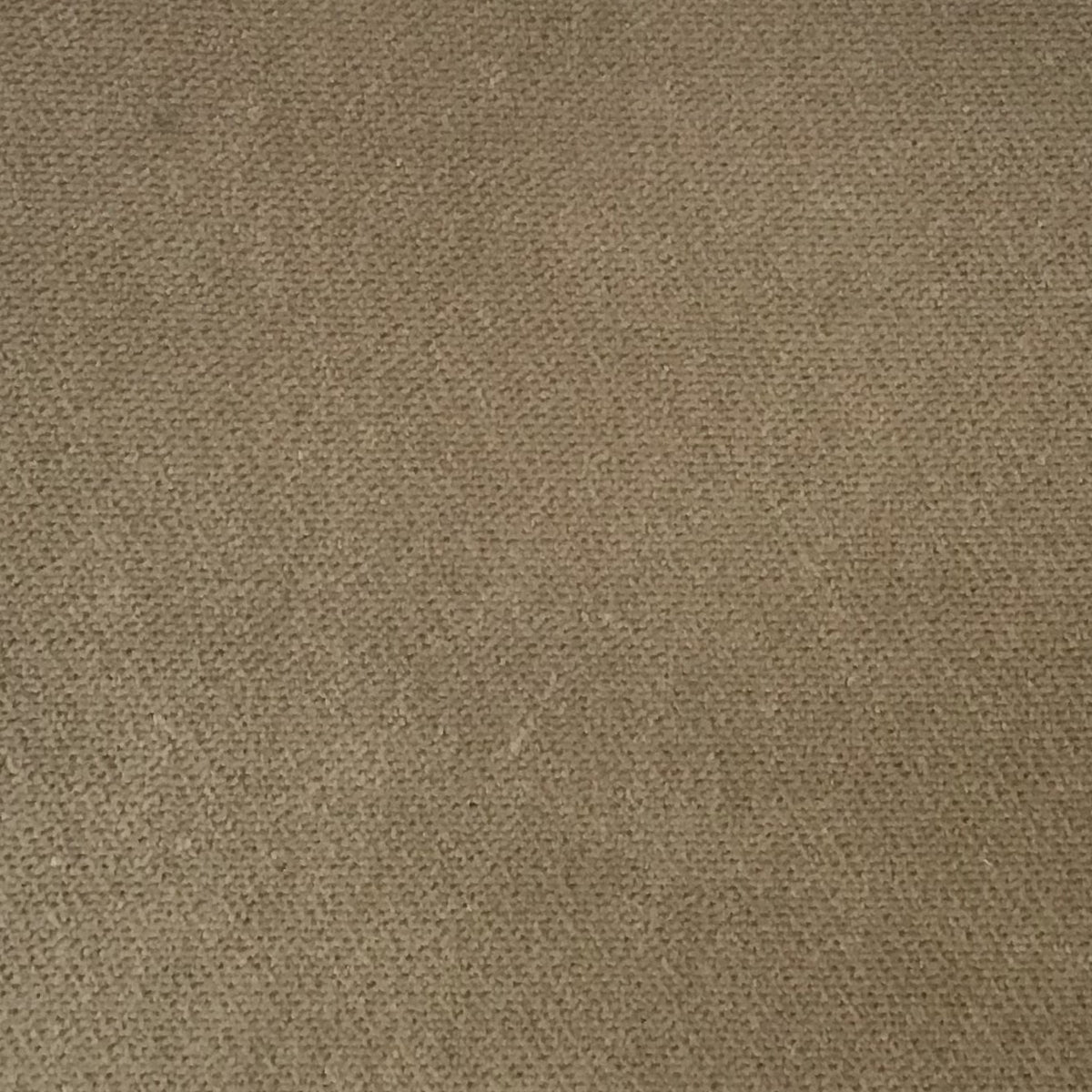 Purchase 992059 | Olympic Velvet, Taupe - Schumacher Fabric