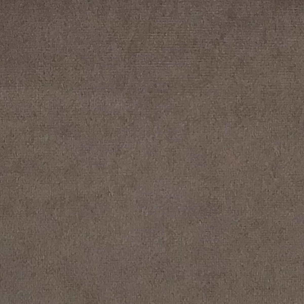 Purchase 992181 | Venus Velvet, Sand - Schumacher Fabric