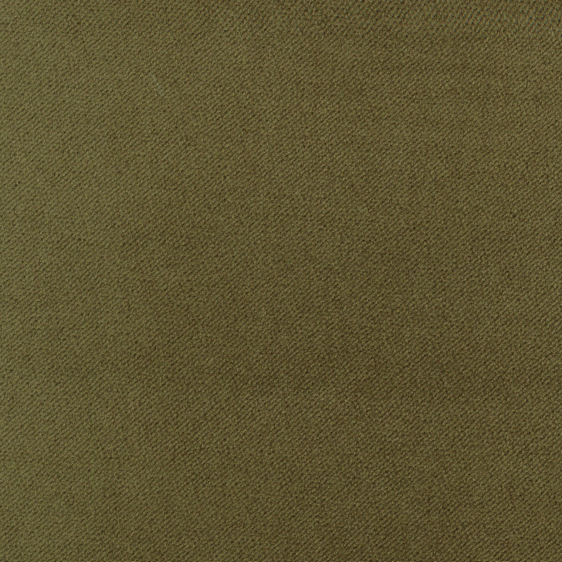 Purchase Greenhouse Fabric A5315 Olive