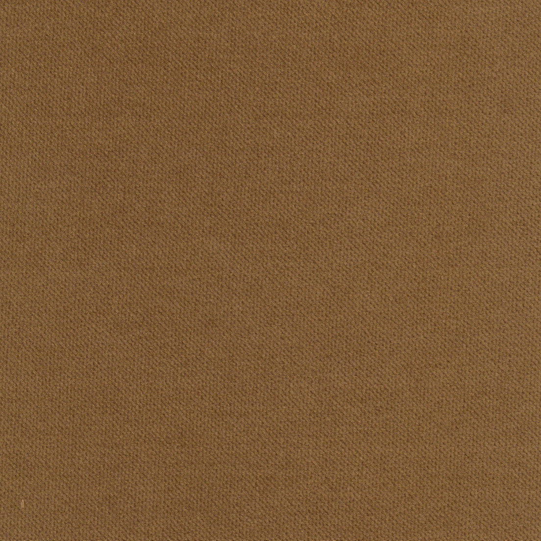 Purchase Greenhouse Fabric A5328 Toffee