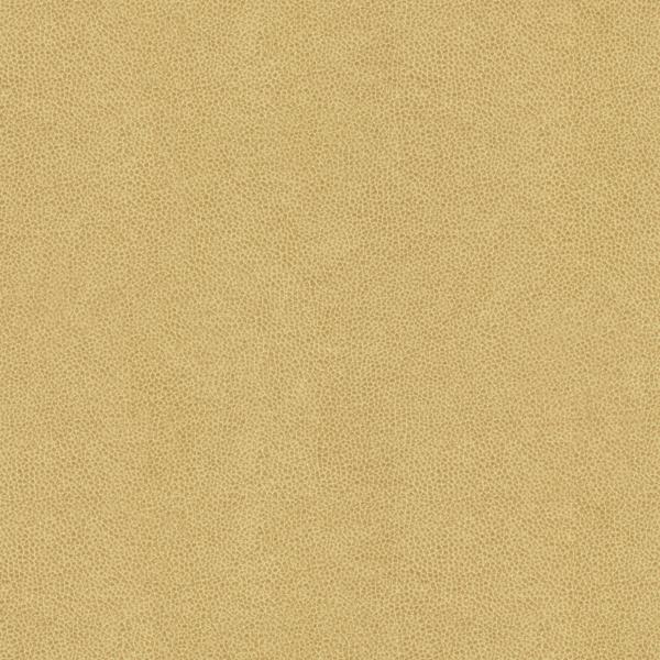 Purchase Abilene.16.0 Abilene,  - Kravet Contract Fabric
