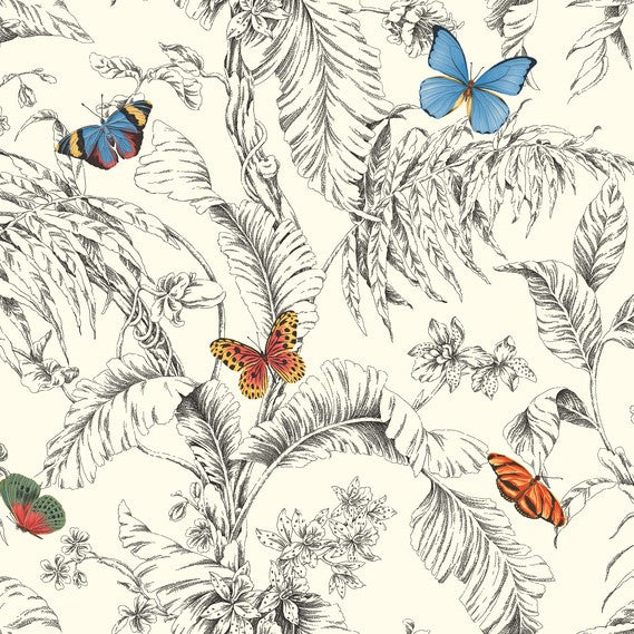 Purchase Af2025 | Toile Resource Library, Papillon - York Wallpaper