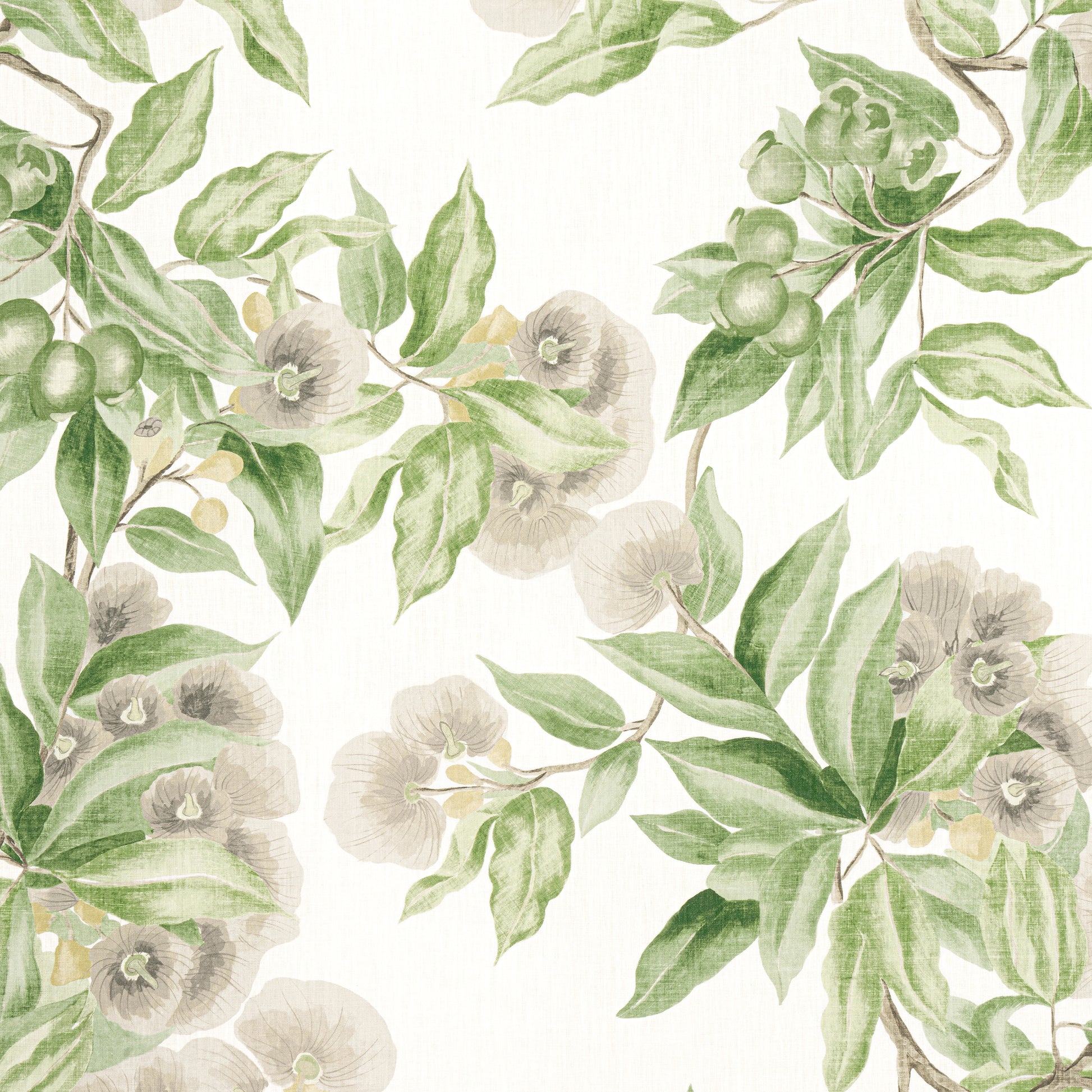 Purchase  Ann French Fabric Item AF24551  pattern name  Camellia Garden
