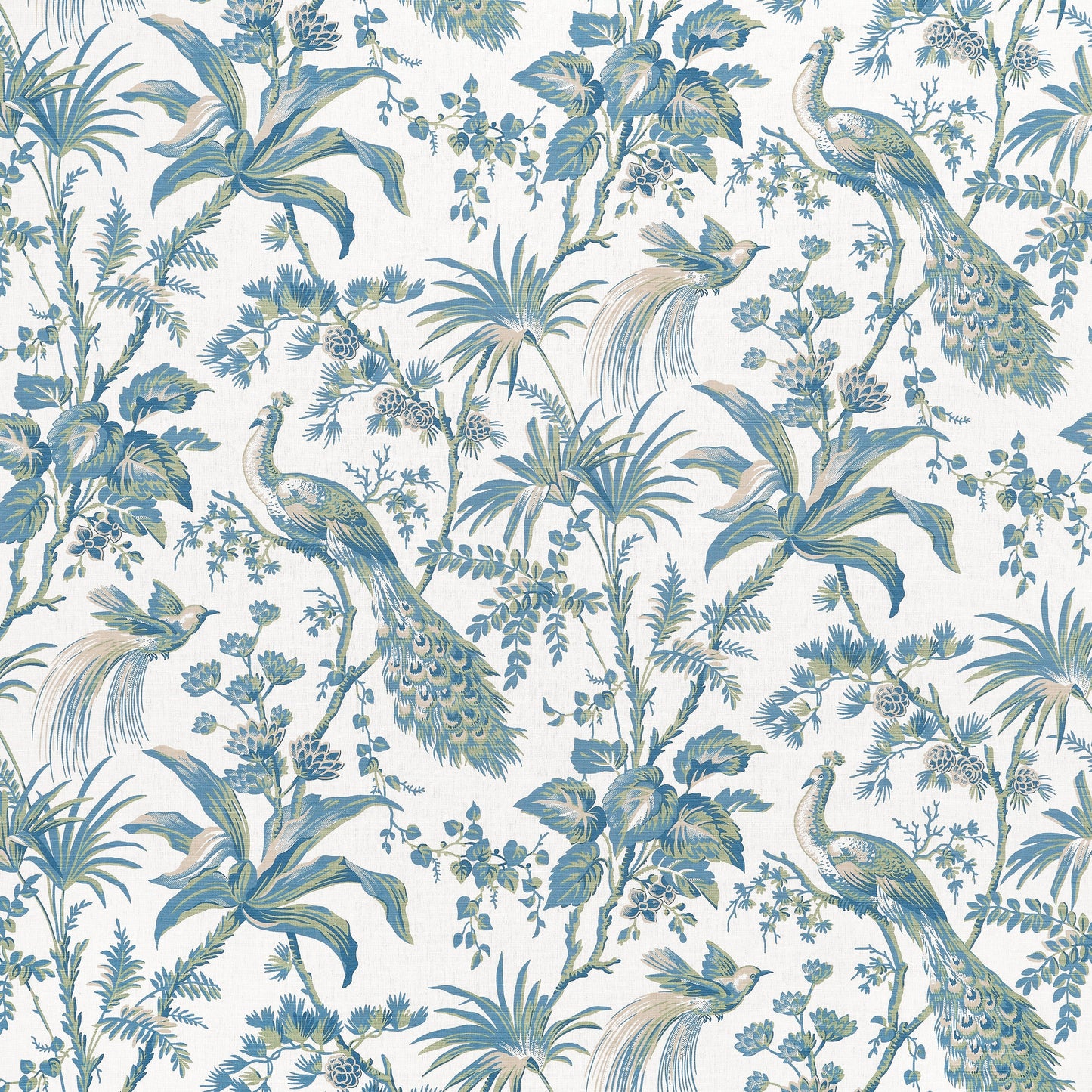 Find Anna French Fabric Product Af57830 Pattern Name Peacock Toile From The Collection Bristol Fabric Book. 